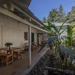 The Cocoon