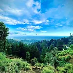 Silk Route Homestay