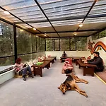 Eevolve Dharamkot - An Eco Hostel