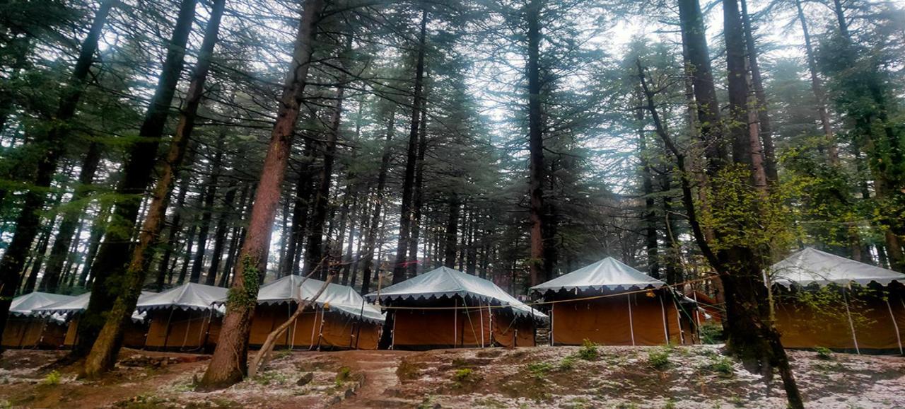 Himtrek Adventure Camps Mcleodganj Campsite McLeod Ganj
