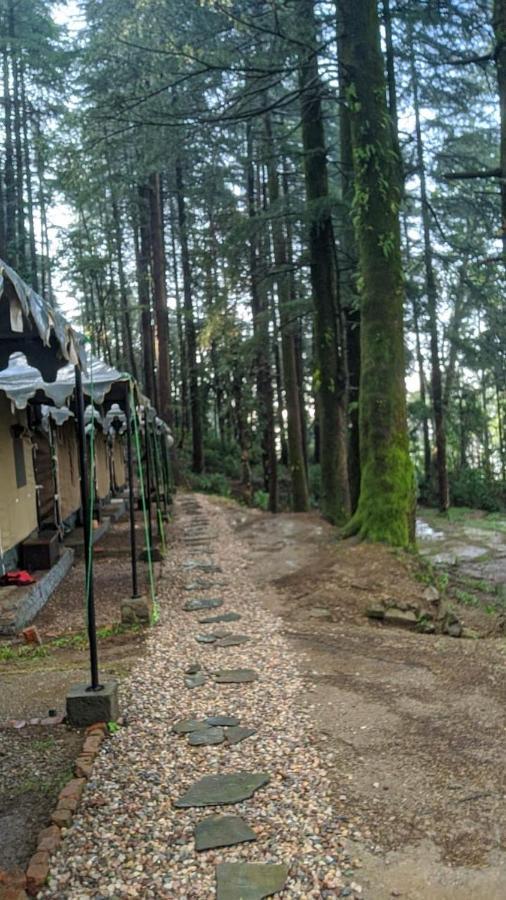 Campsite Himtrek Adventure Camps Mcleodganj McLeod Ganj