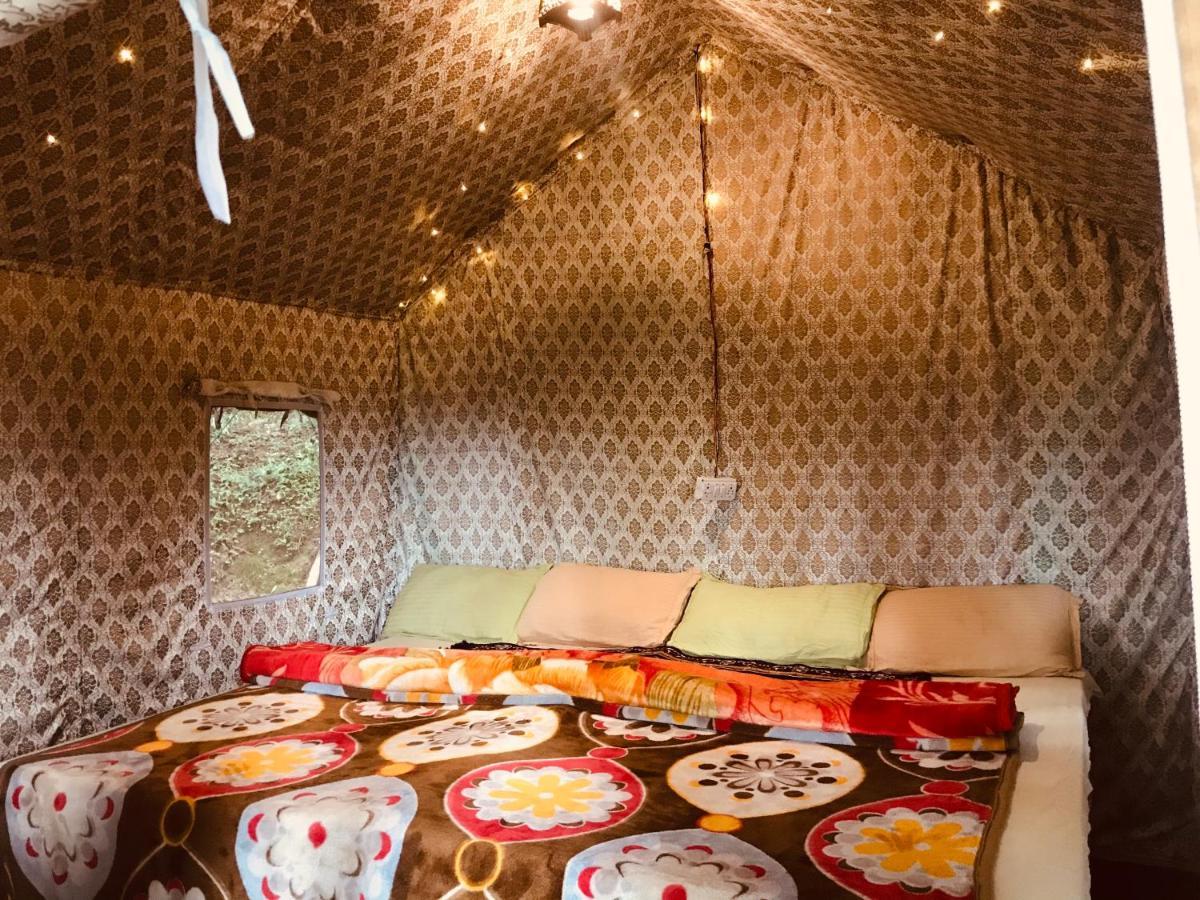 Campsite Himtrek Adventure Camps Mcleodganj *