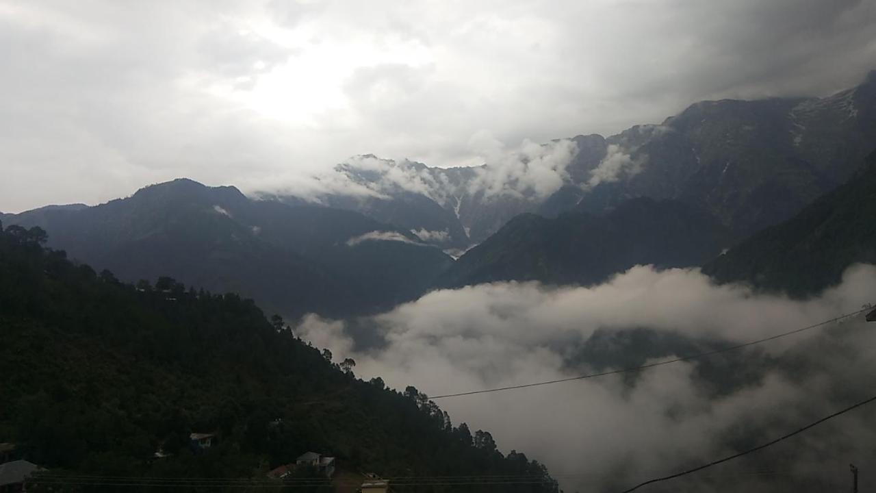 Victoriya Palace,mcleod Ganj 3*