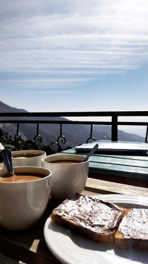 Flugler Hostels Dharamkot Hostel McLeod Ganj