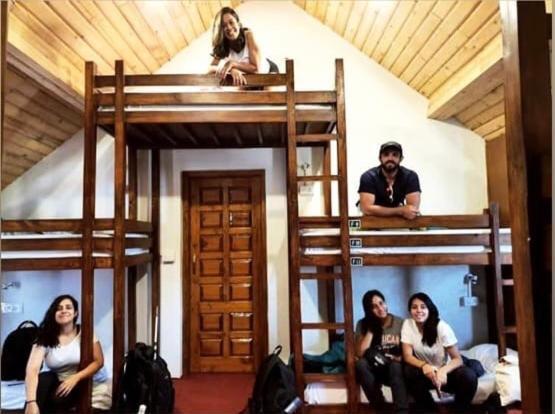 Flugler Hostels Dharamkot Hostel *