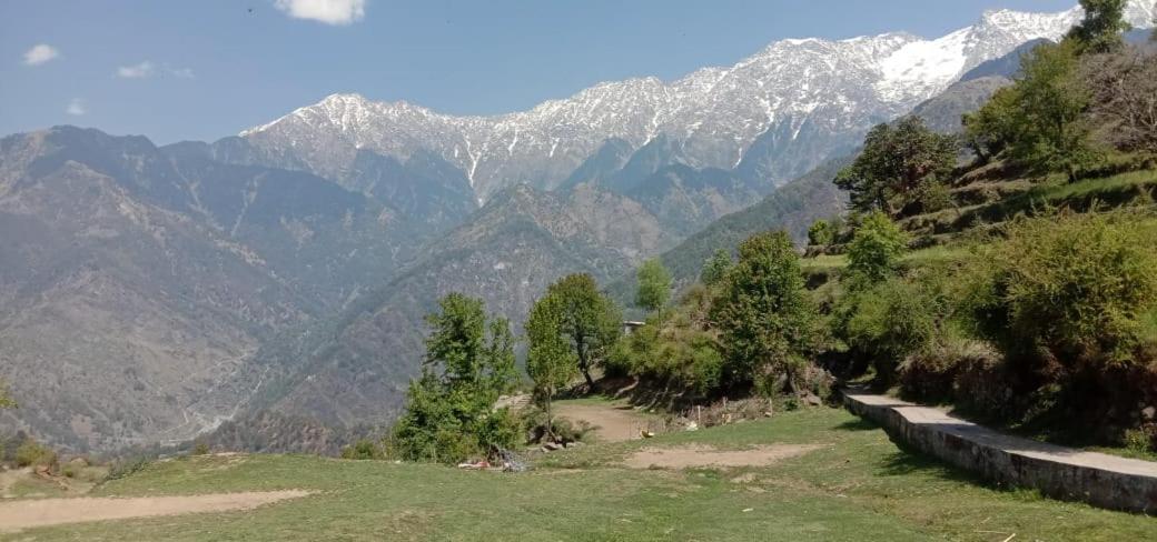 Srishti Homestay - Naddi McLeod Ganj
