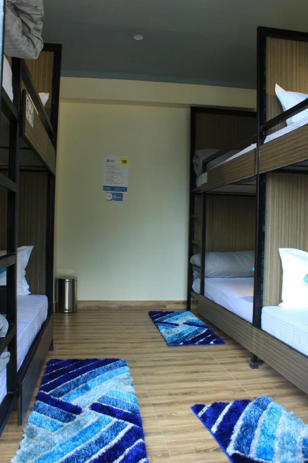 Shalom Backpackers Dharamkot Mcleodganj Hostel *