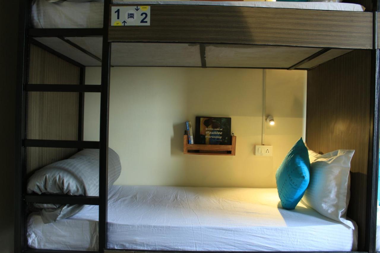 Shalom Backpackers Dharamkot Mcleodganj Hostel