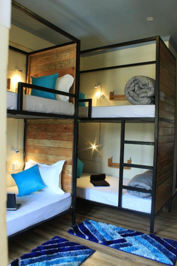 Shalom Backpackers Dharamkot Mcleodganj * McLeod Ganj