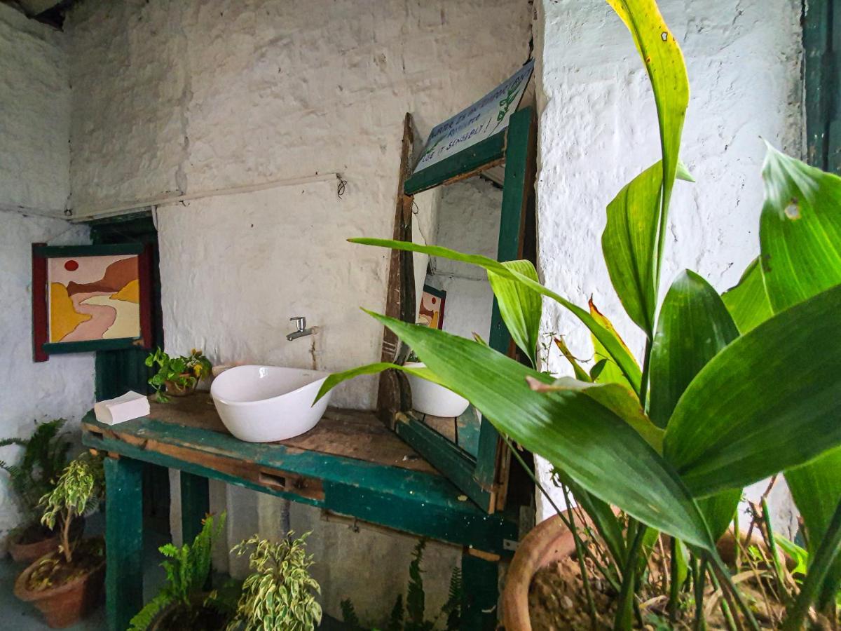 Lodge The Cocoon McLeod Ganj