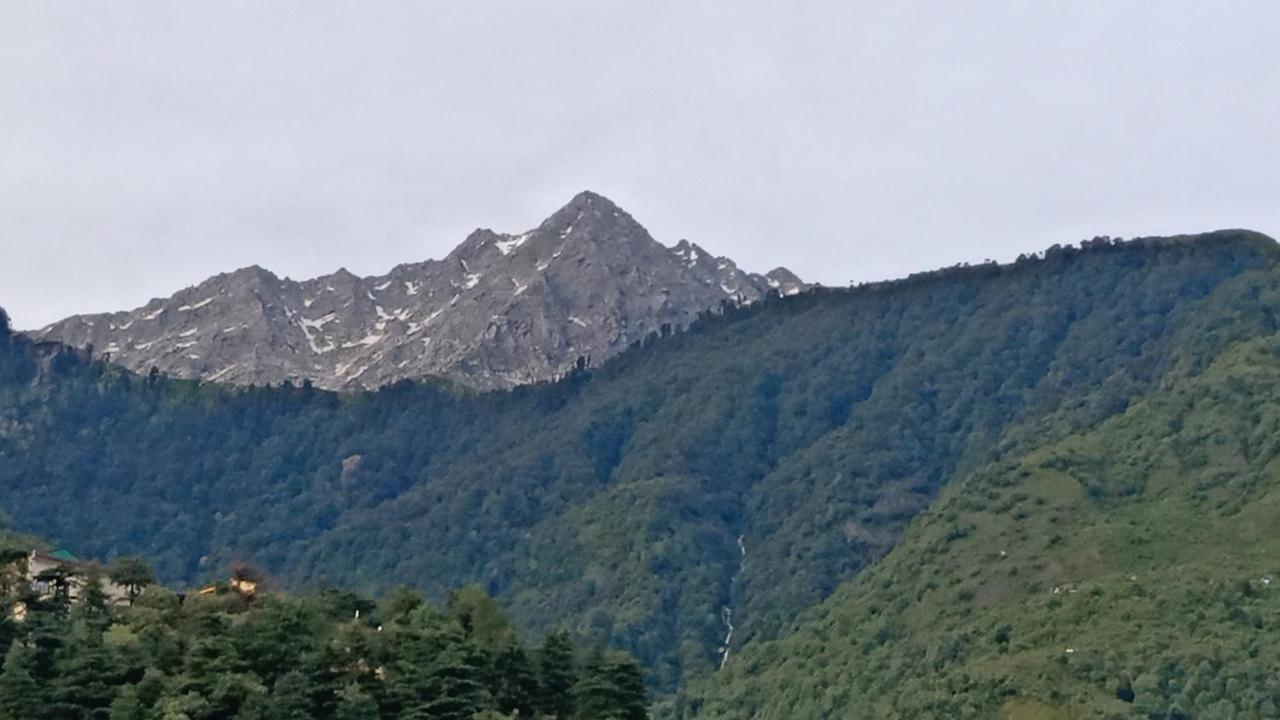 Sharma Cottage - Idaa Hotel McLeod Ganj