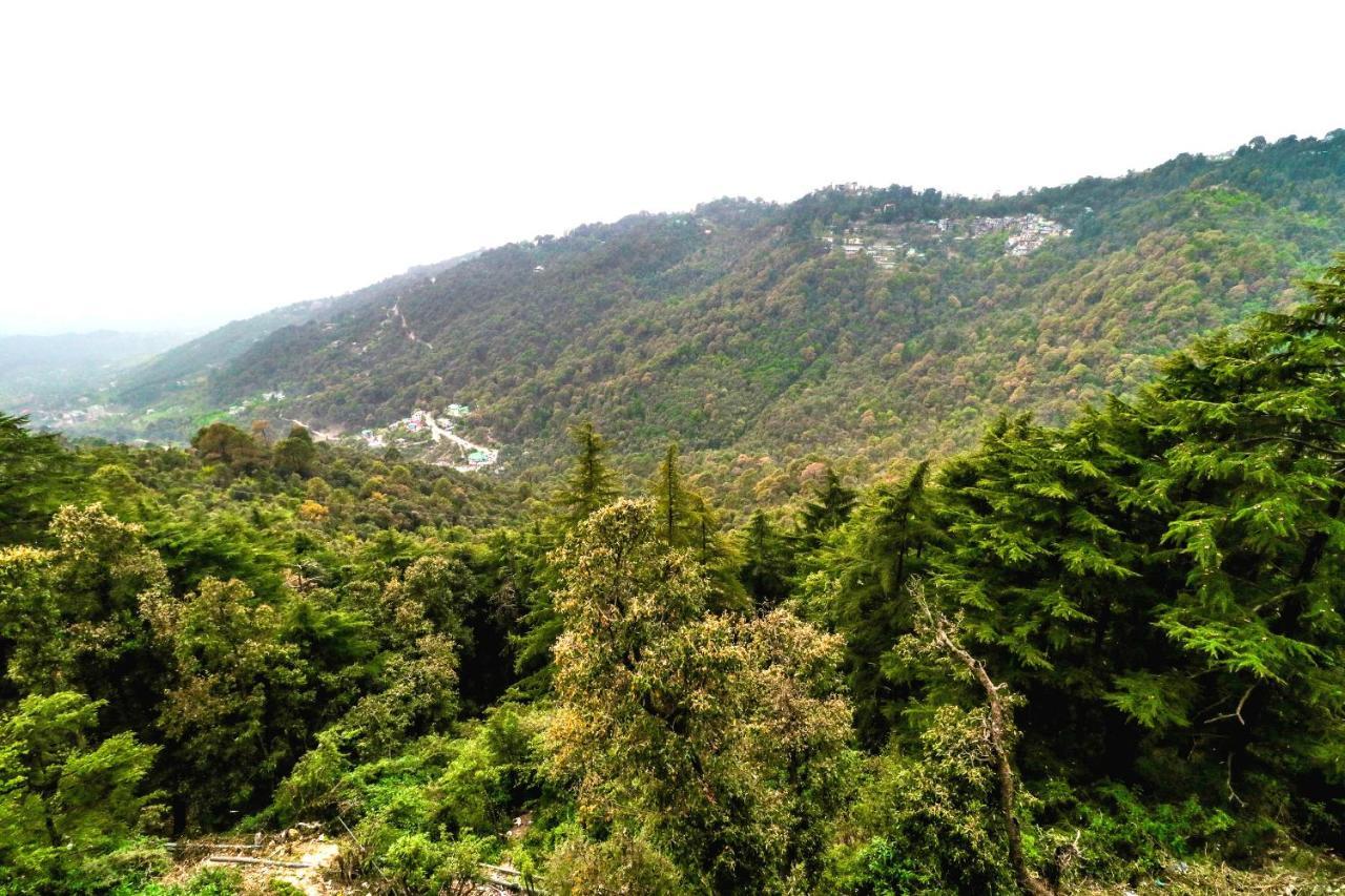 Hotel Grand Hill McLeod Ganj