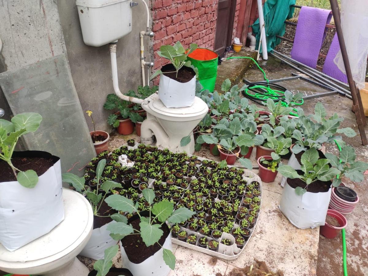 Hostel Chinmay McLeod Ganj
