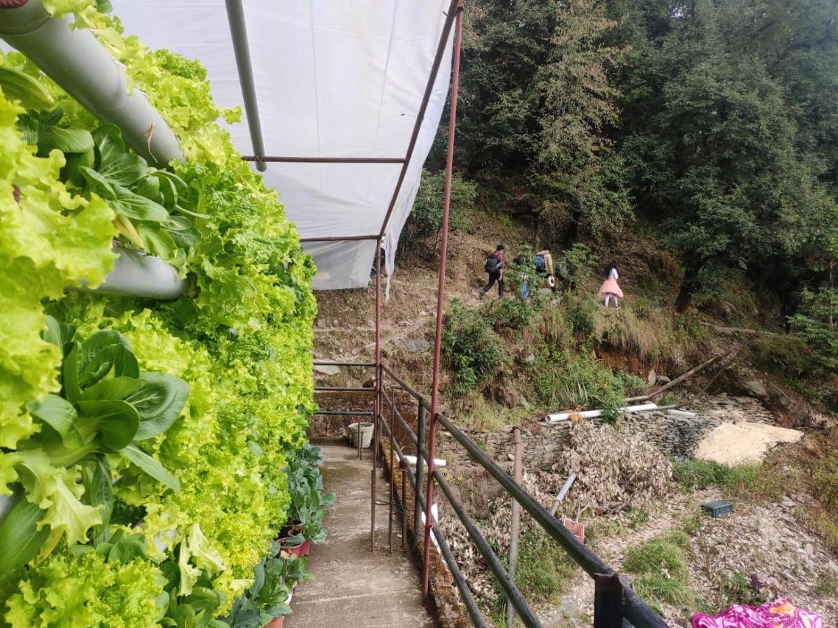 Hostel Chinmay McLeod Ganj