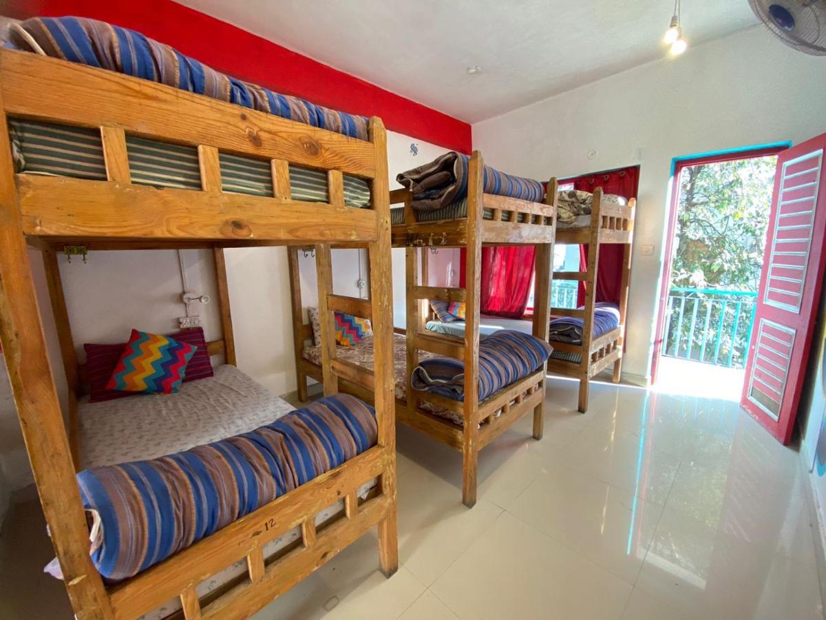 Hostel Hikers World