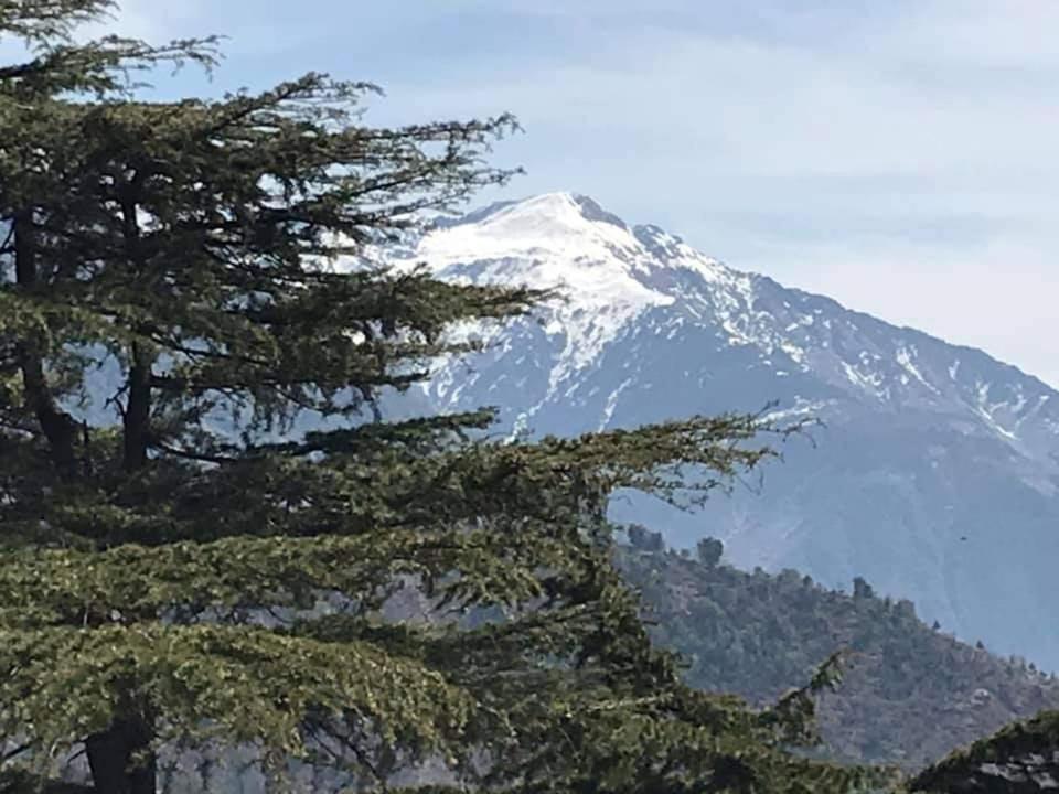Yoga House * McLeod Ganj