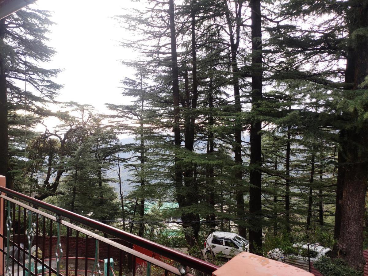 Guest house Shree *
