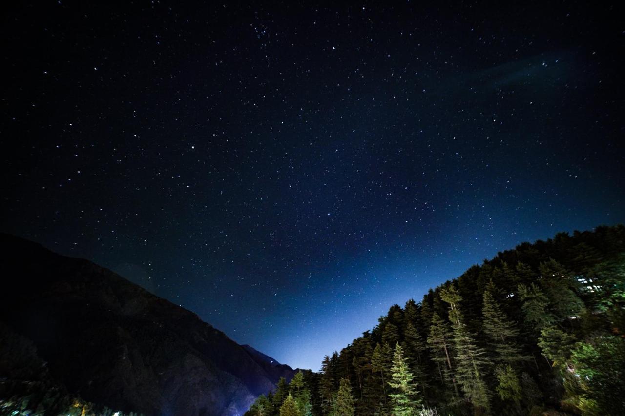 Nomadgao Dharamkot - Great Views, Fast Wifi, Interesting People, Near Mcleodganj * McLeod Ganj