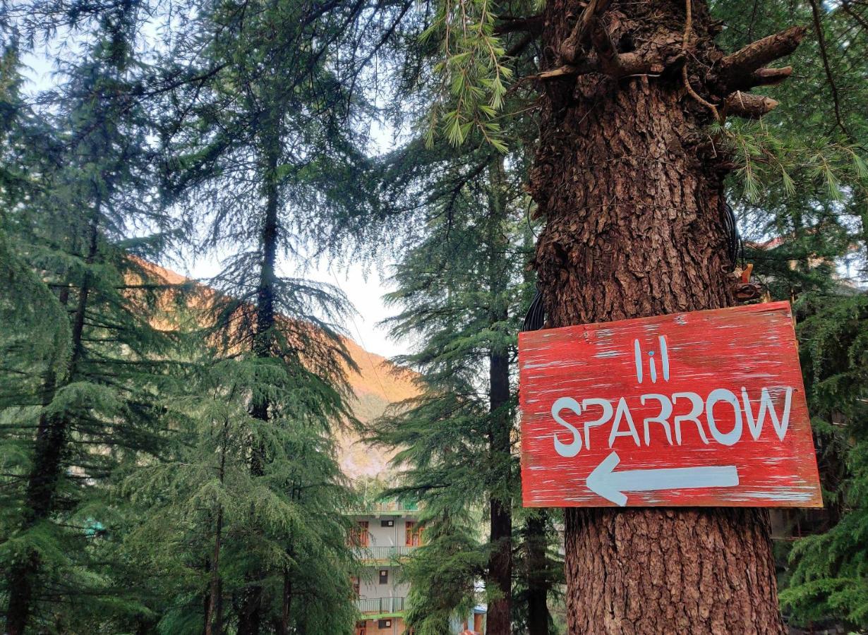 Lil Sparrow Art Cafe &