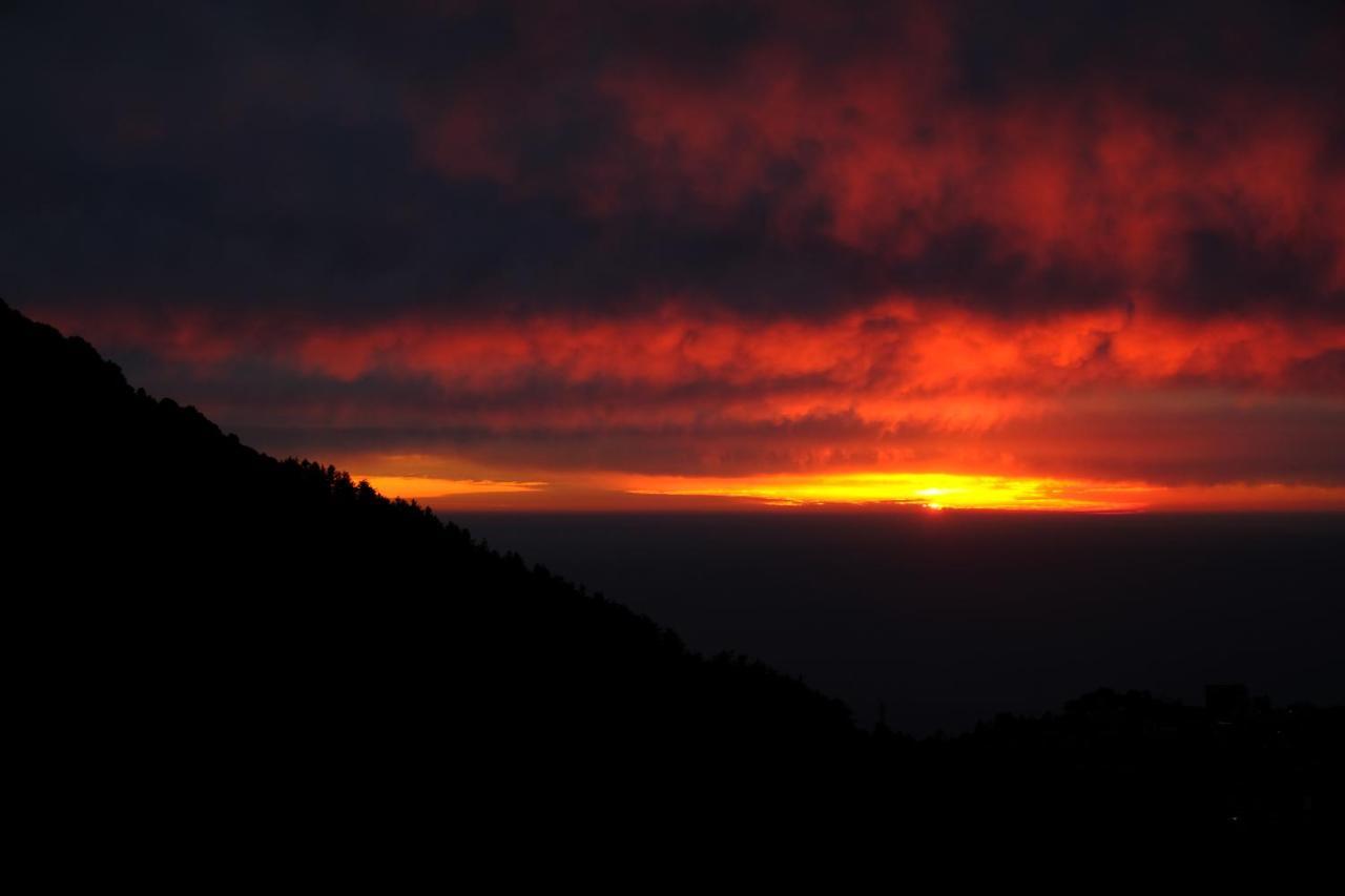 Hostel Mitra Mcleodganj *