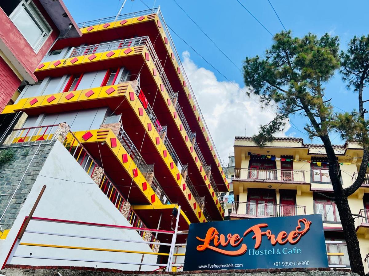 Live Free Hostel, Mcleodganj * McLeod Ganj