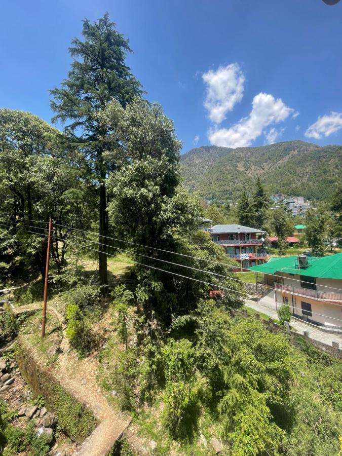 Eevolve Dharamkot - An Eco Hostel *