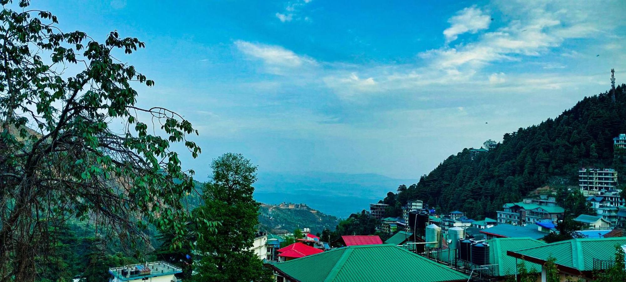 El Profesor Mcleodganj McLeod Ganj