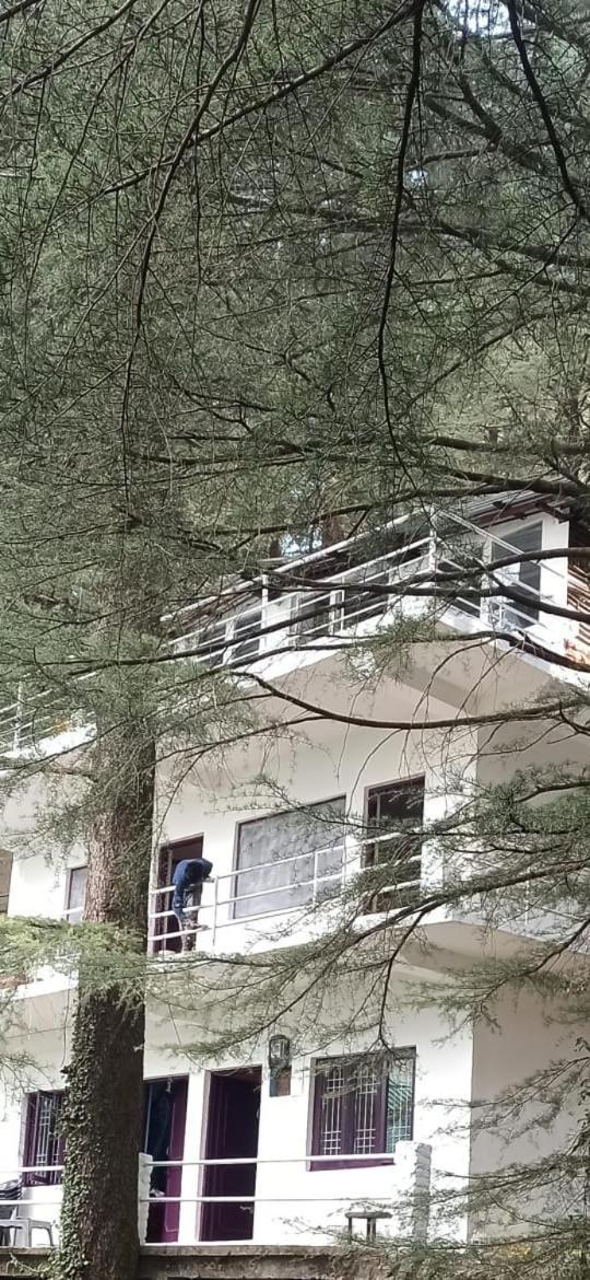 Himalayan Triund Trekking McLeod Ganj