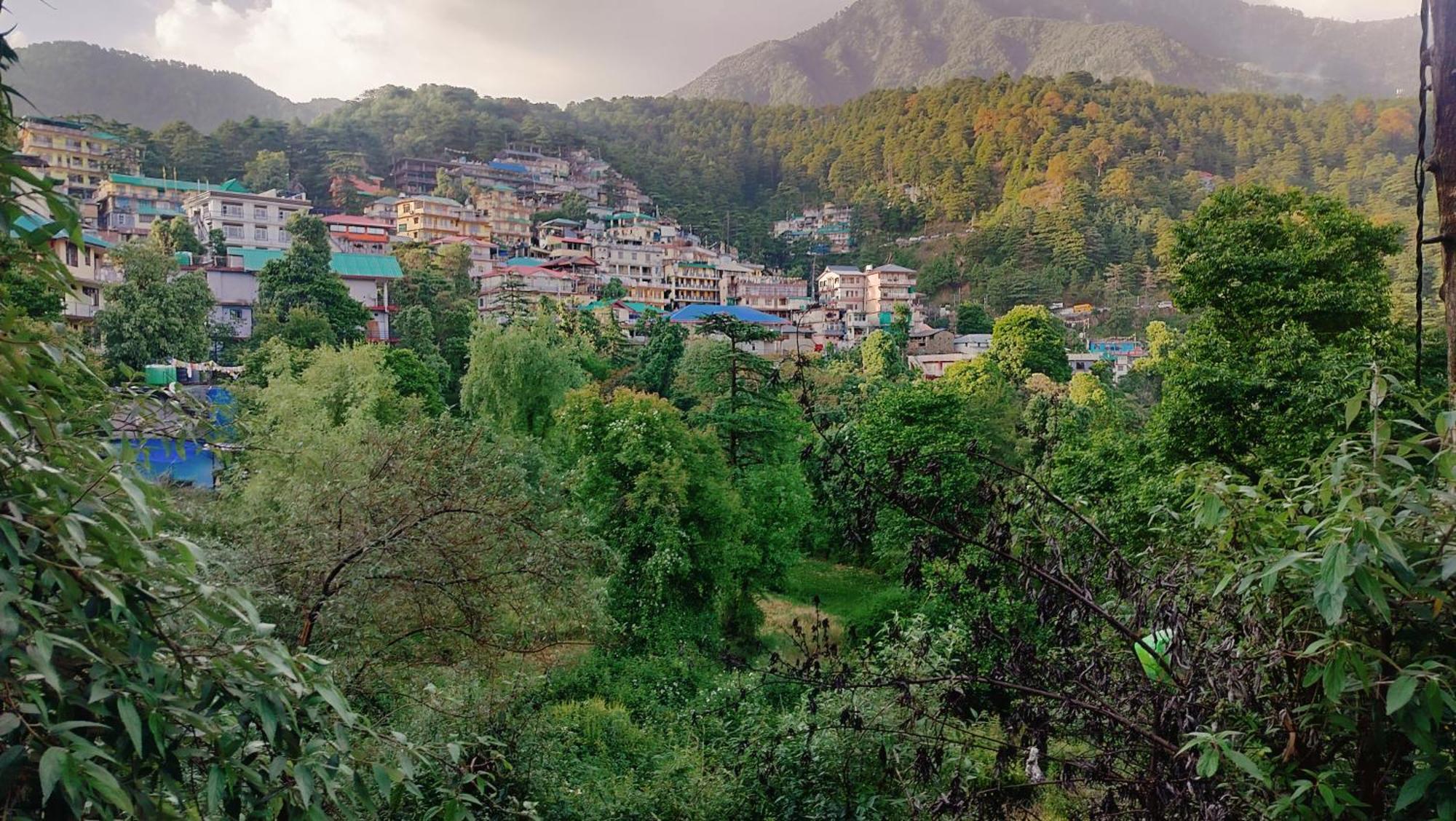 Homestay Pine Wood Mcleodganj *