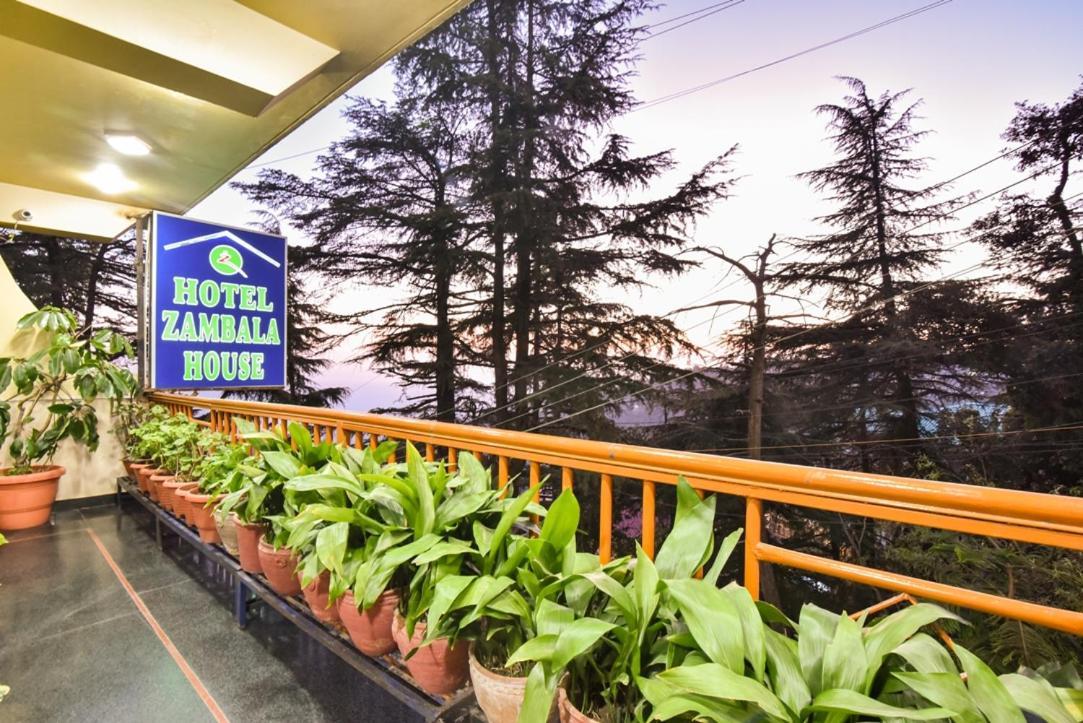 Hotel Zambala House 3*