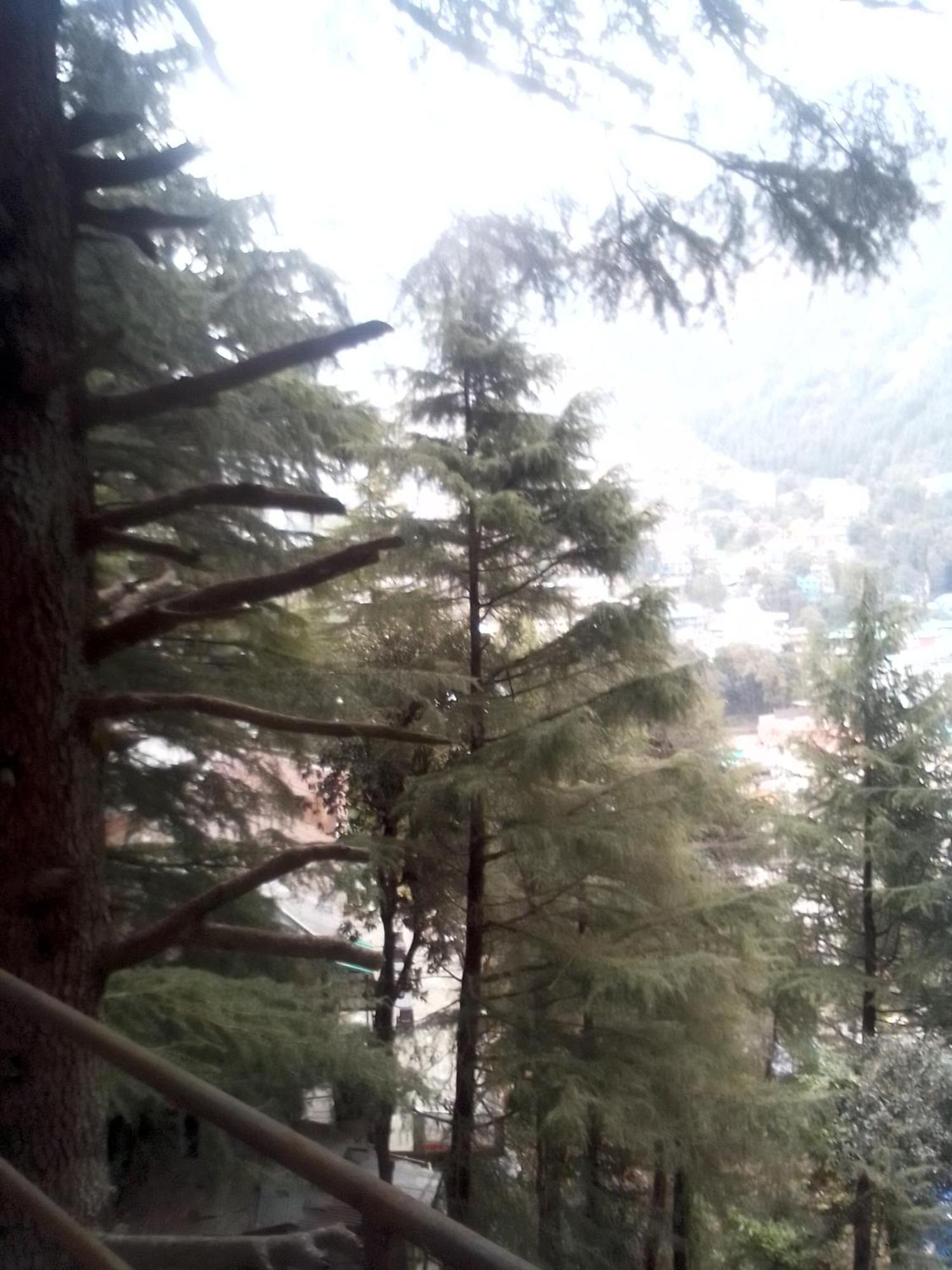Himalayan Mountain Trekkers And Waterfalls View Homestay