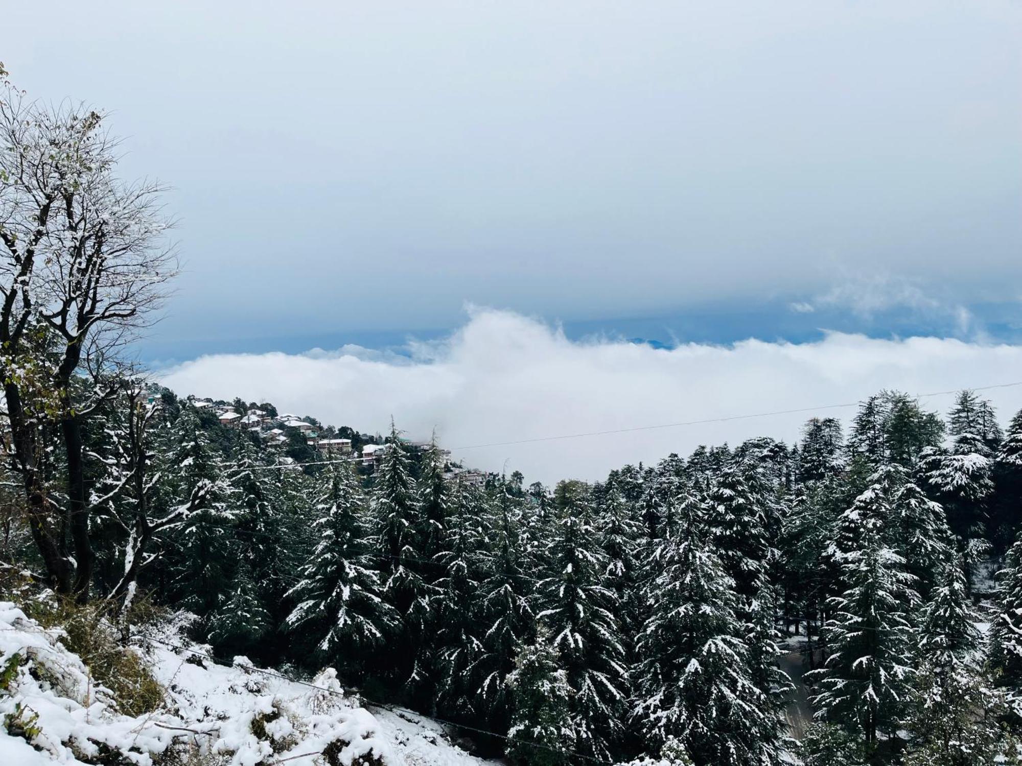 Silk Route Homestay