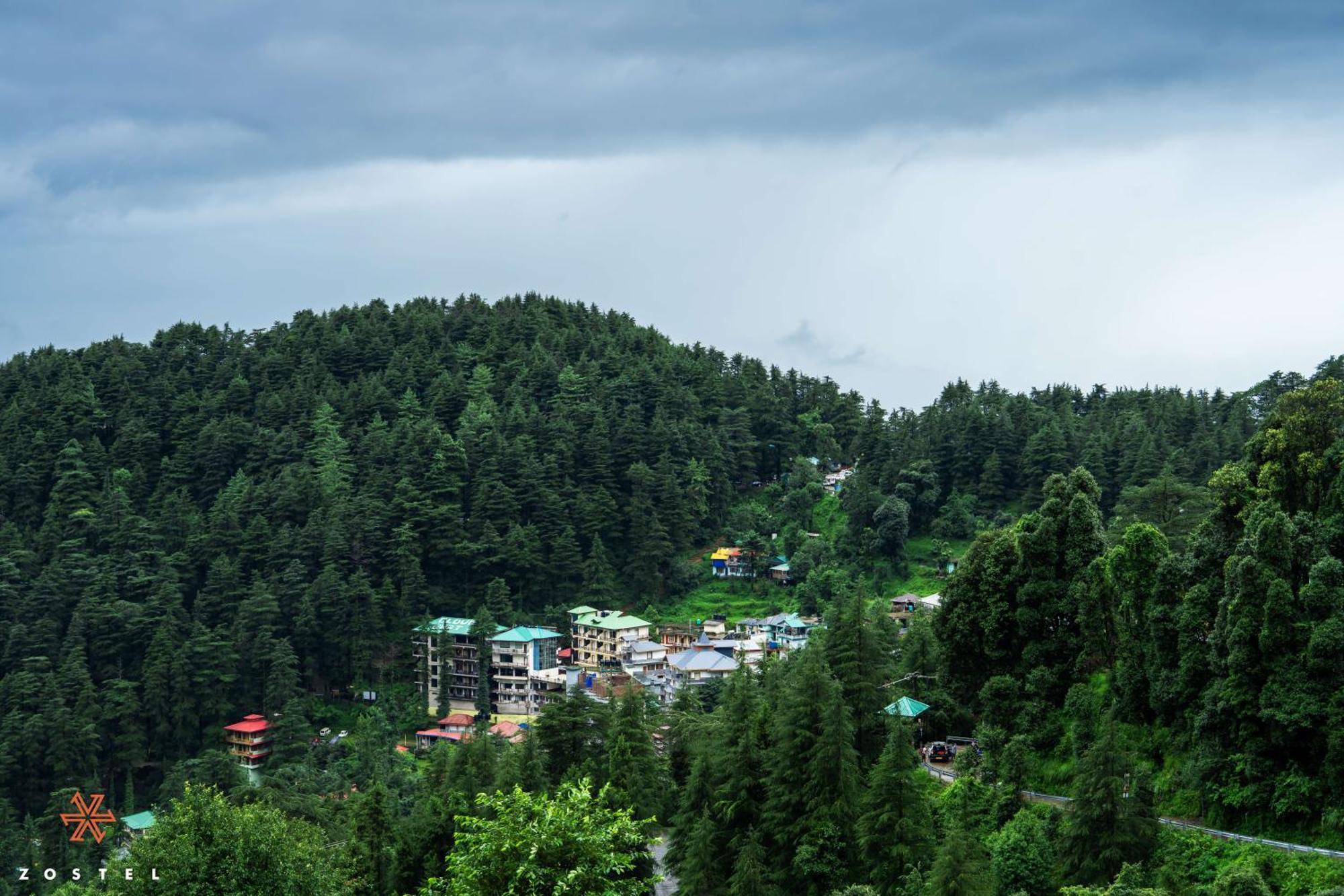 Zostel Dharamkot Hostel