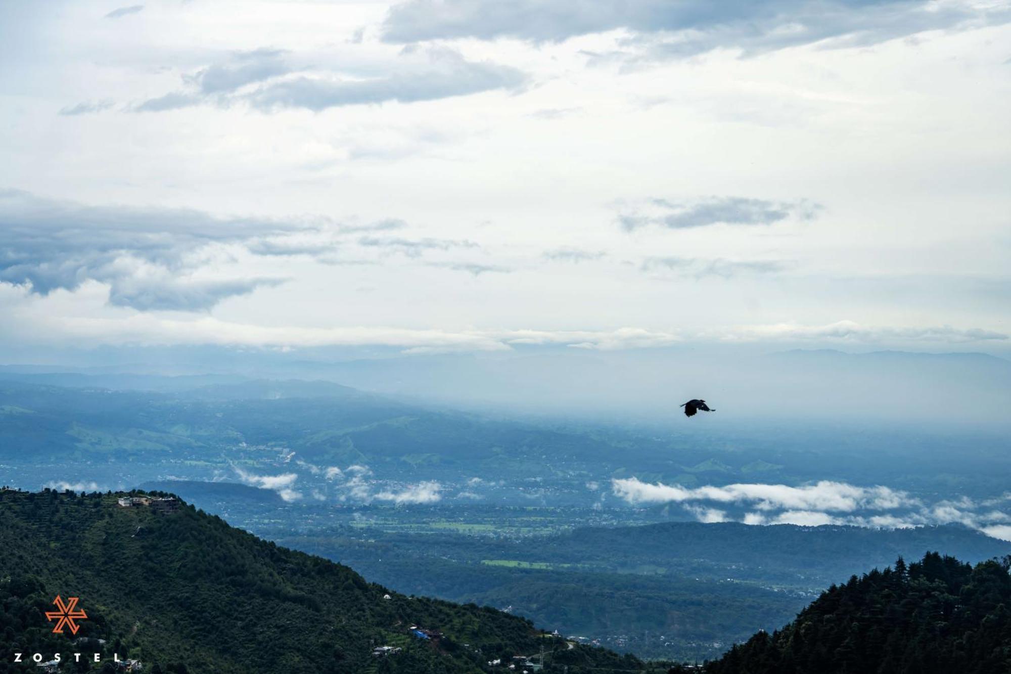 Zostel Dharamkot Hostel McLeod Ganj