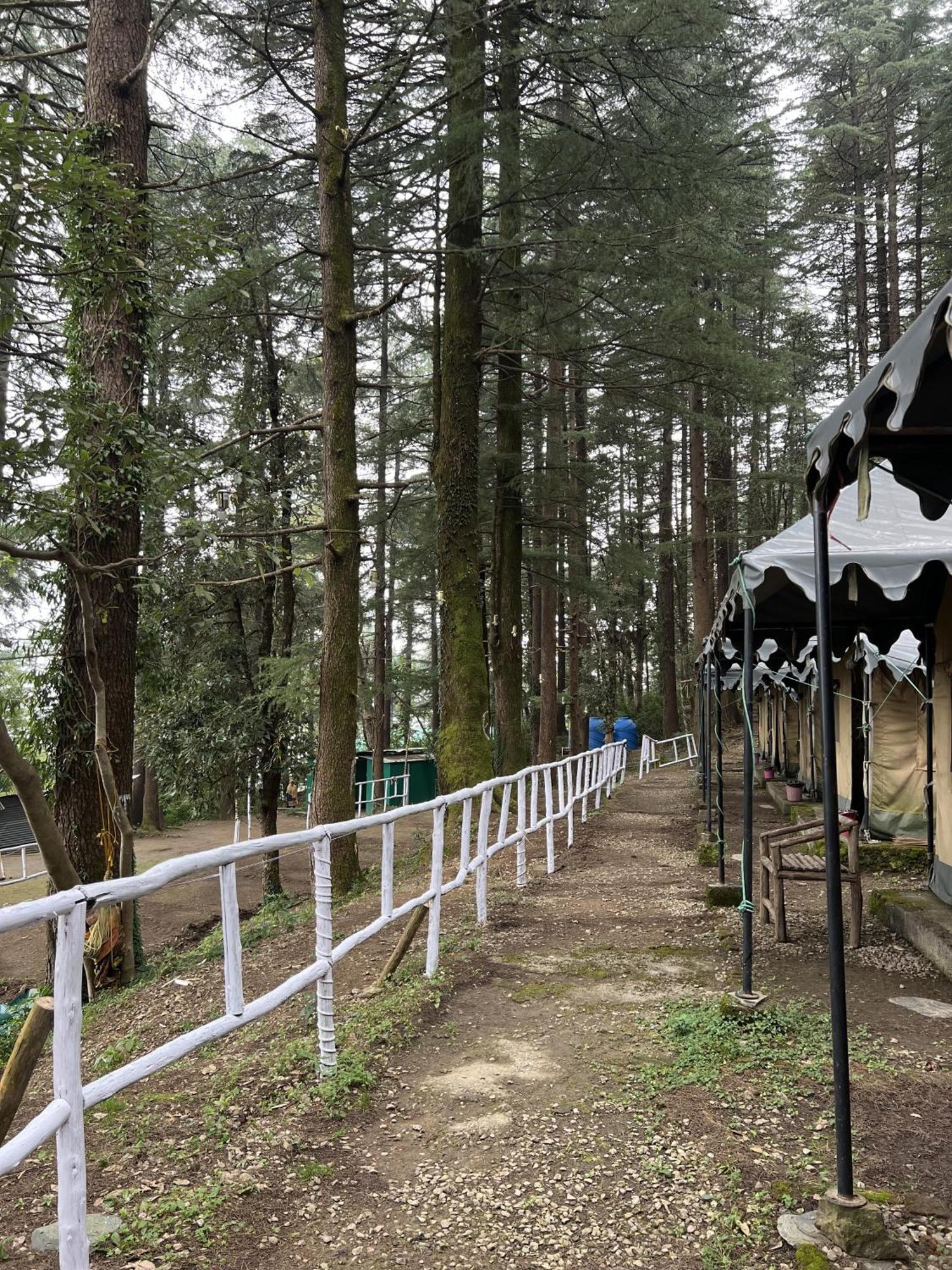 Bed & Breakfast Himtrek Stays,mcleodganj *