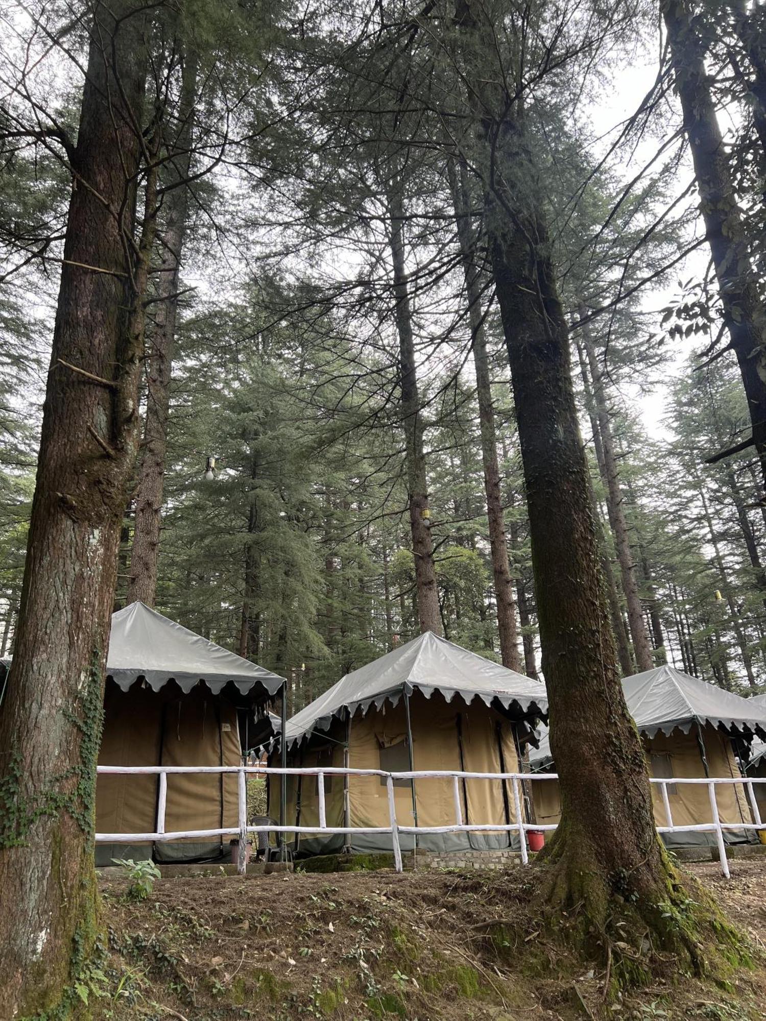 Bed & Breakfast Himtrek Stays,mcleodganj *