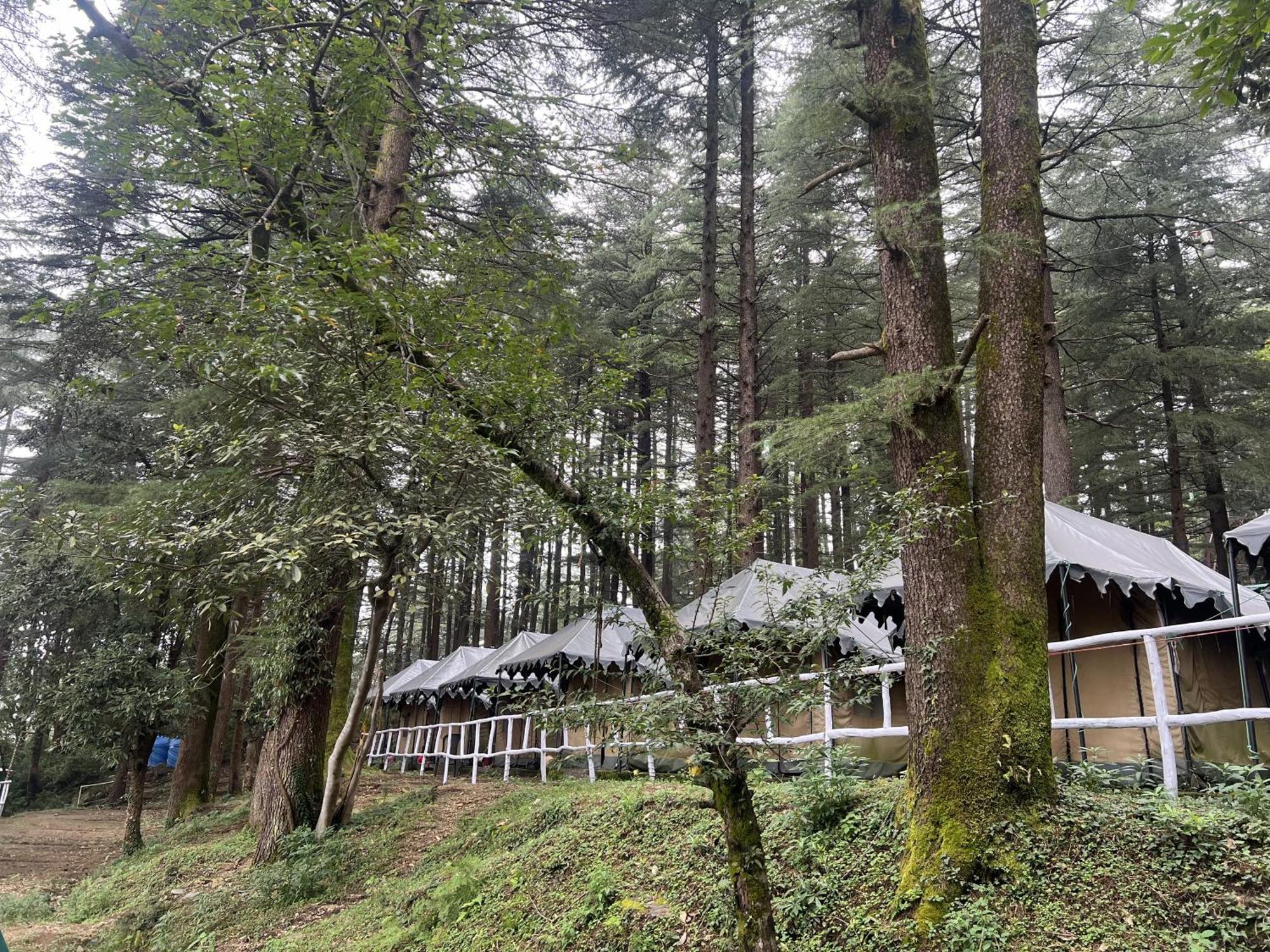 Himtrek Stays,mcleodganj Bed & Breakfast McLeod Ganj