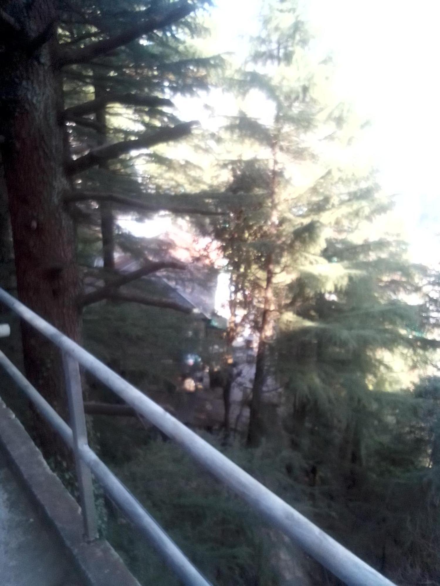 Himalayan Trekkers Backpackers