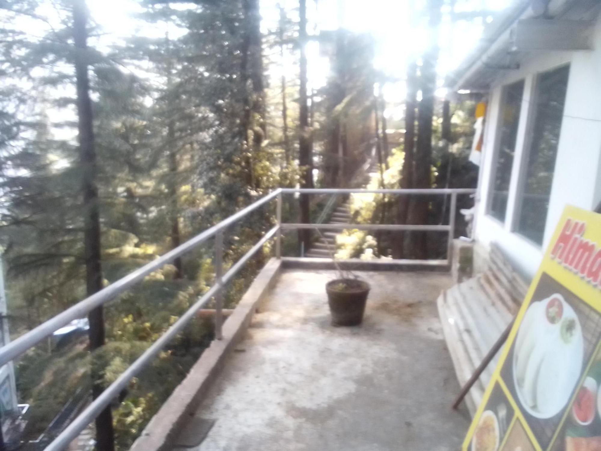 Himalayan Triund Trekking *
