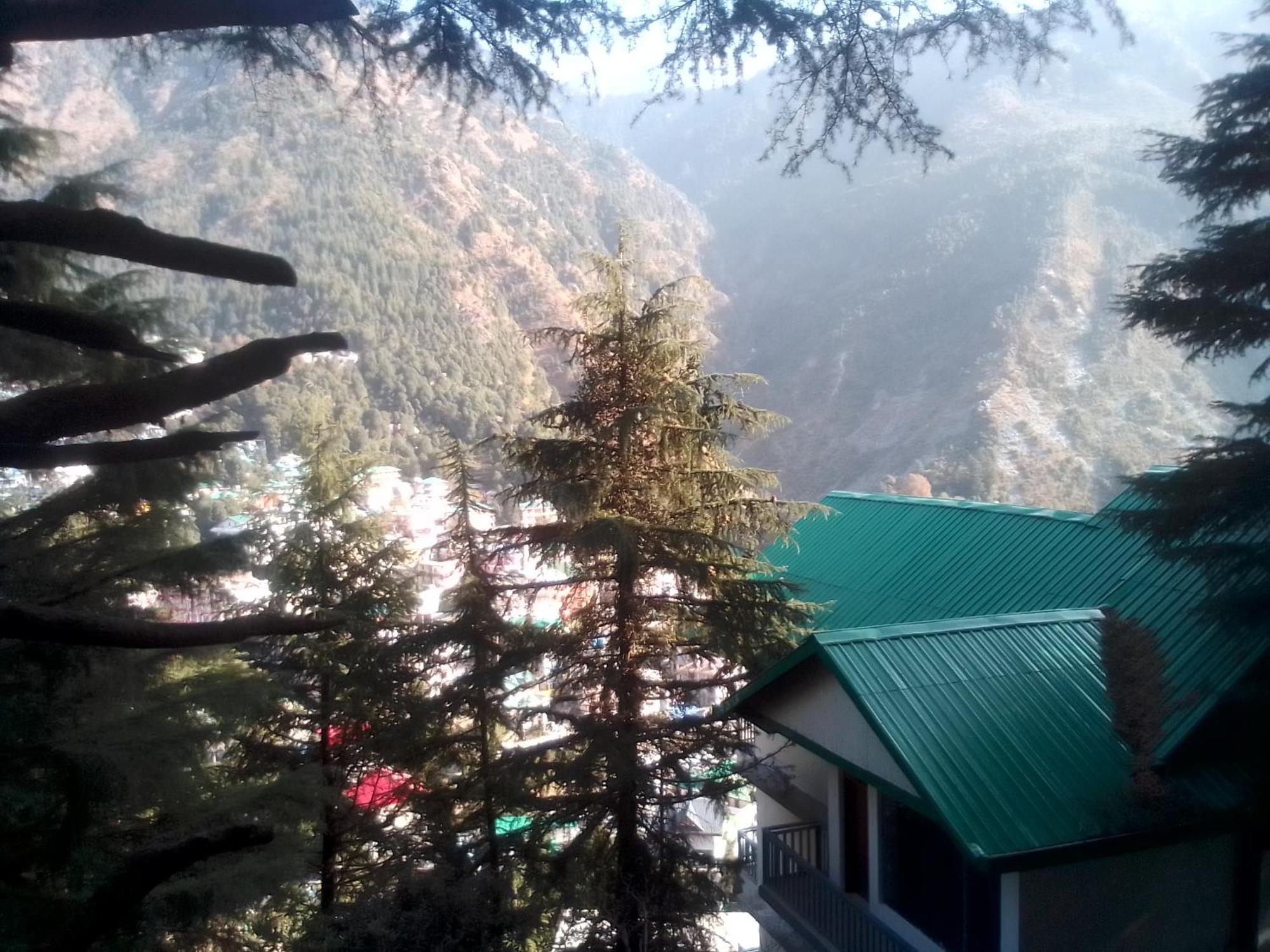 Himalayan Triund Trekking McLeod Ganj