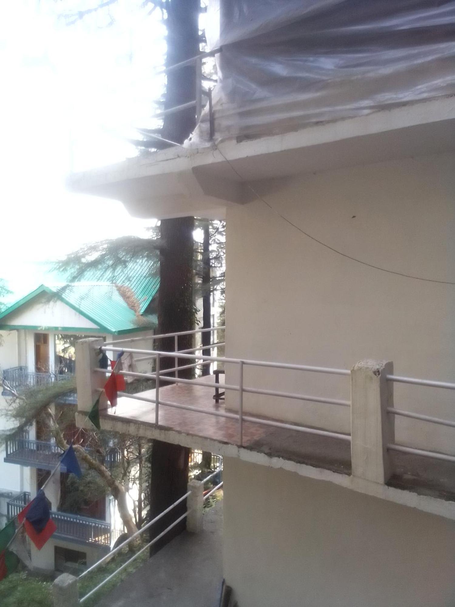 Himalayan Triund Trekking Homestay *