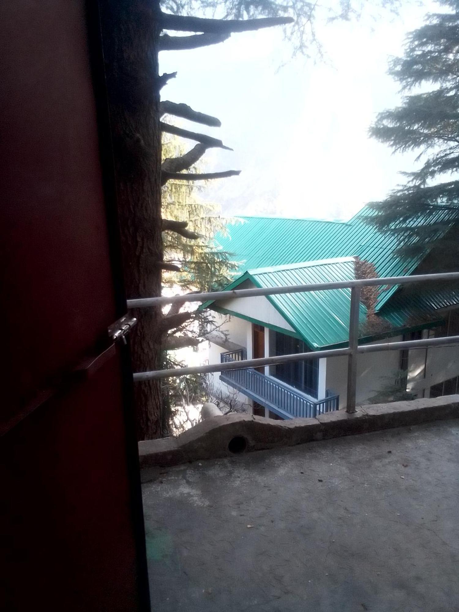 Himalayan Triund Trekking Homestay *