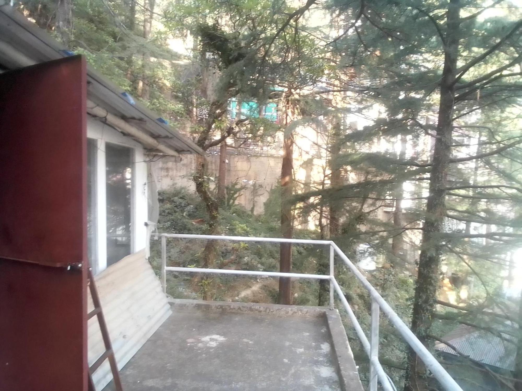 Himalayan Triund Trekking Homestay McLeod Ganj