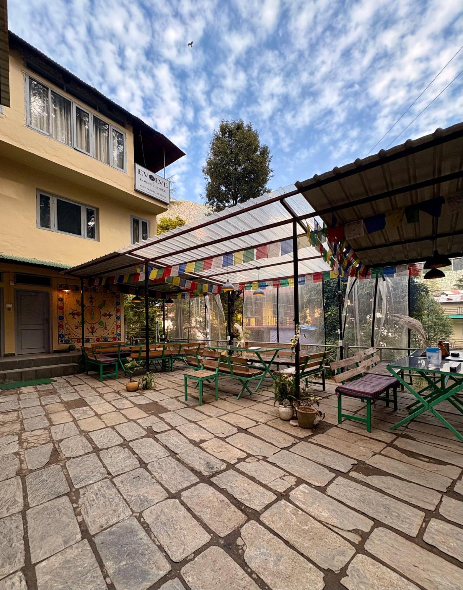 Eevolve Dharamkot - An Eco * McLeod Ganj