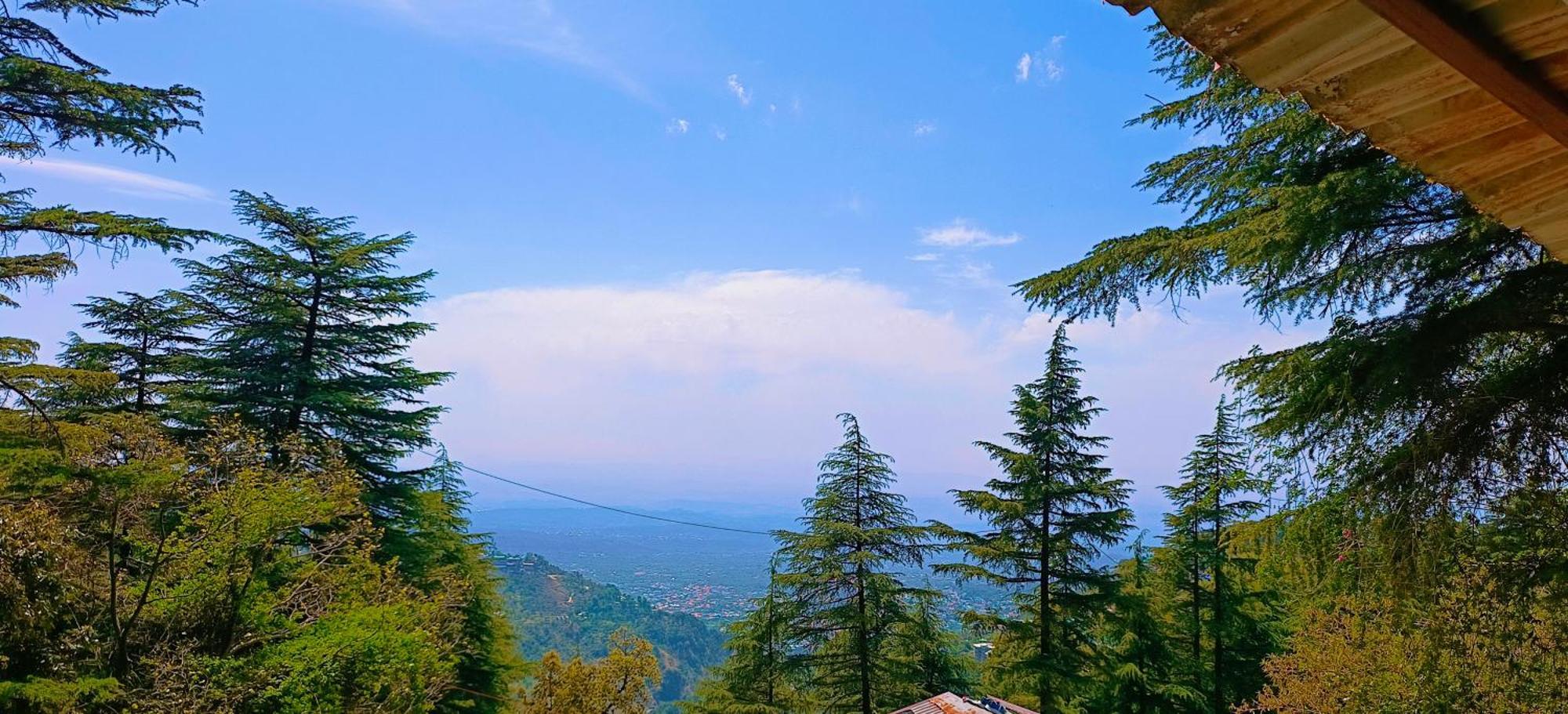 Bed & Breakfast Mcleodganj McLeod Ganj