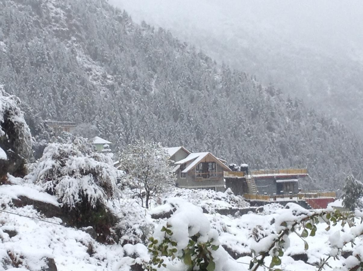 Flugler Hostels Dharamkot *