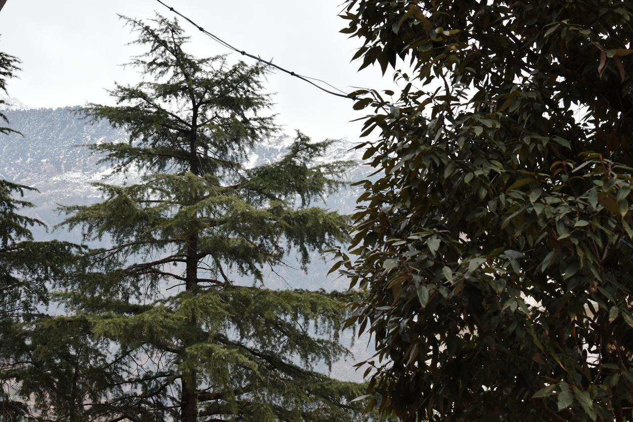 Hotel Akash - Luxury In Mcleodganj 3*