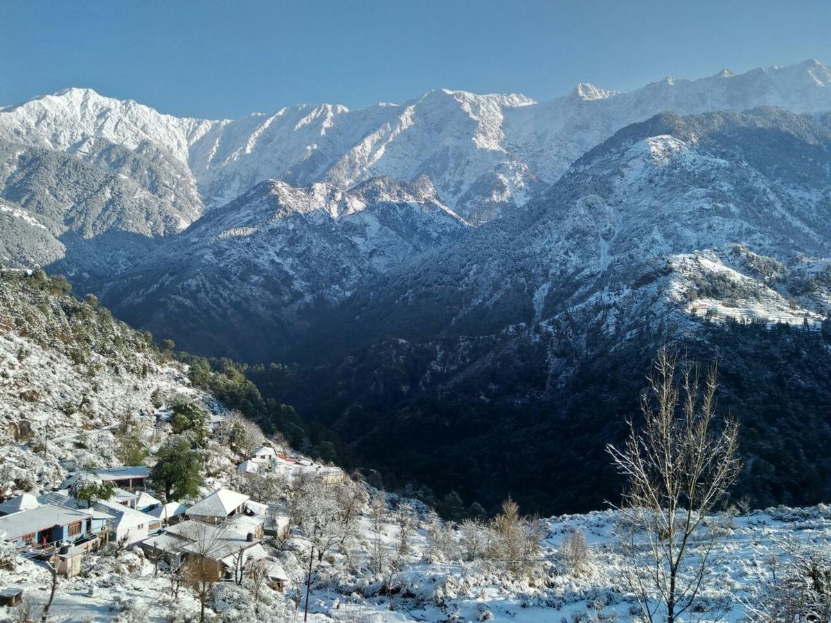 Udechee Huts, Hotel McLeod Ganj