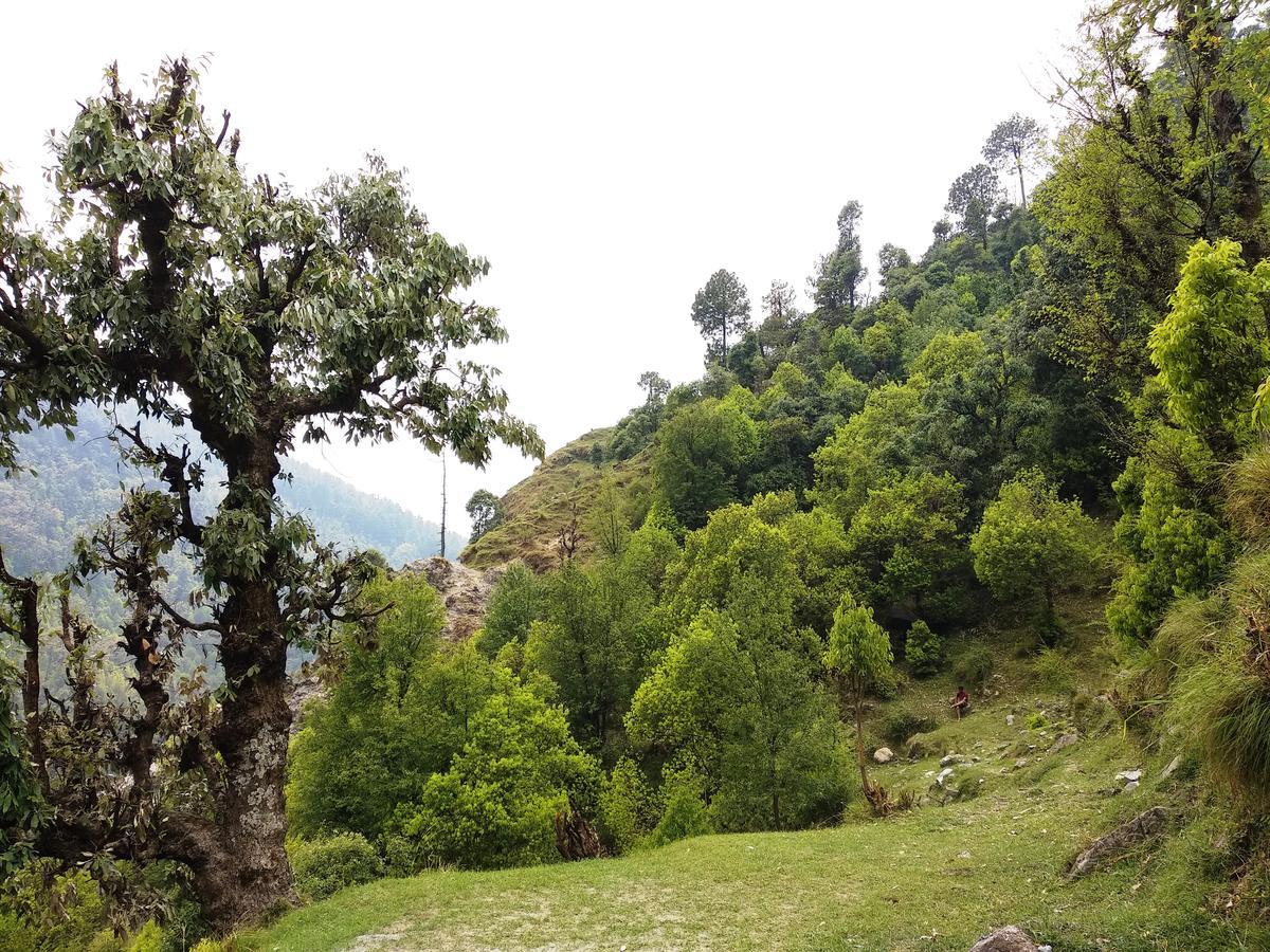 Campsite Ara Camps