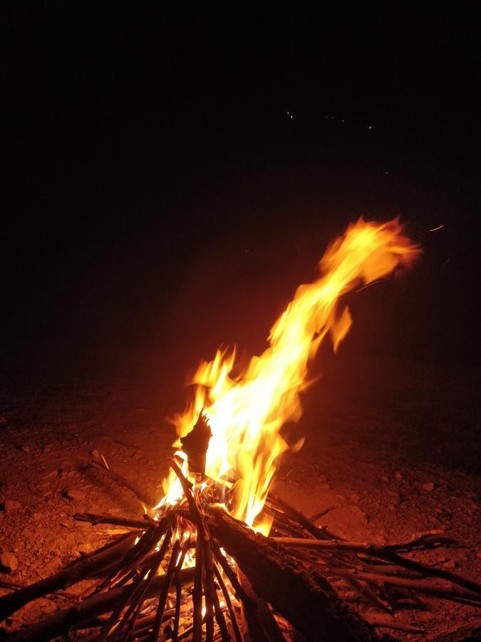 Ara Camps *